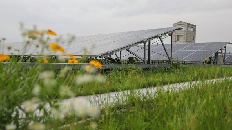 Consumo de energia por unidade do PIB na China cai 11,6% em 4 anos