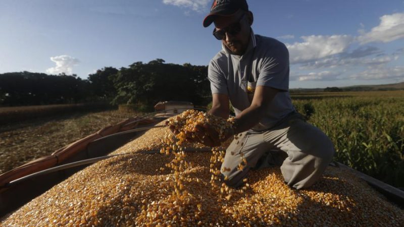 Brasil, “Terra do Futuro”