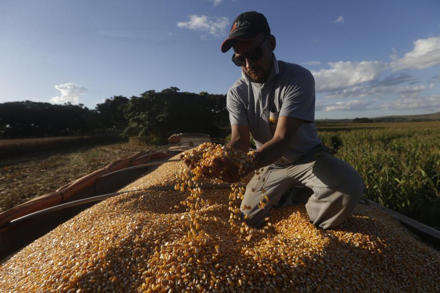 Brasil, “Terra do Futuro”