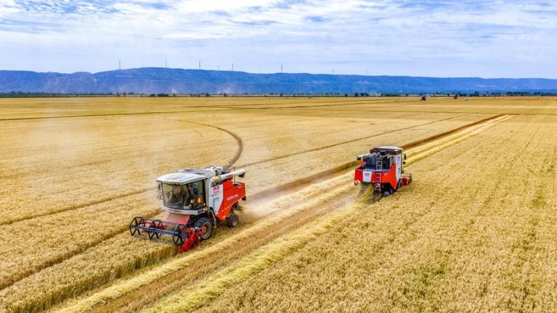 Colheita de safra de verão da China atinge 149 milhões de toneladas de grãos, apesar do clima adverso