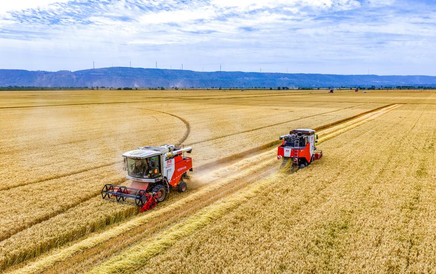Colheita de safra de verão da China atinge 149 milhões de toneladas de grãos, apesar do clima adverso