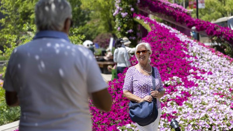 Turistas estrangeiros em Shanghai disparam mais de 50% no primeiro semestre