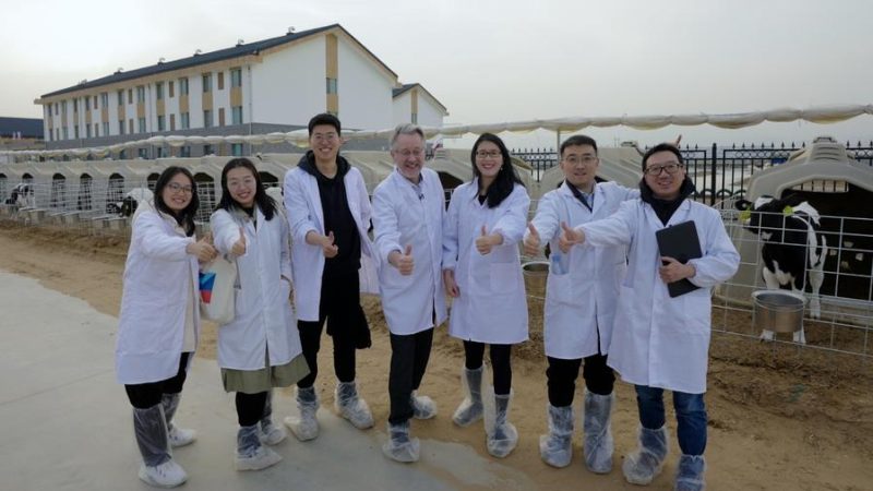 De Wageningen à Mongólia Interior: Especialista holandês reflete sobre uma década de inovação na indústria de laticínios da China