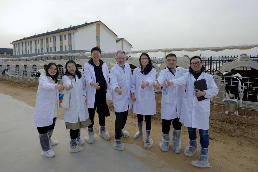 De Wageningen à Mongólia Interior: Especialista holandês reflete sobre uma década de inovação na indústria de laticínios da China