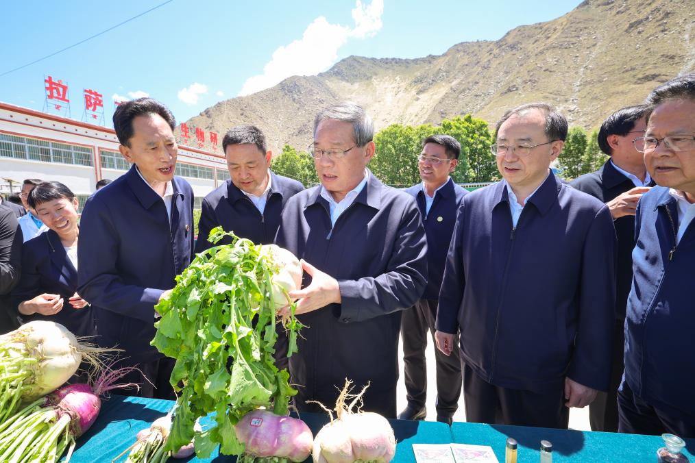 Premiê chinês enfatiza a implementação de alta qualidade de importantes projetos nacionais