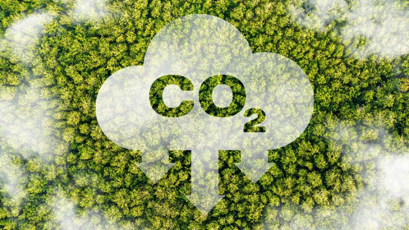 China aprova proteína convertida de CO2 como material de ração