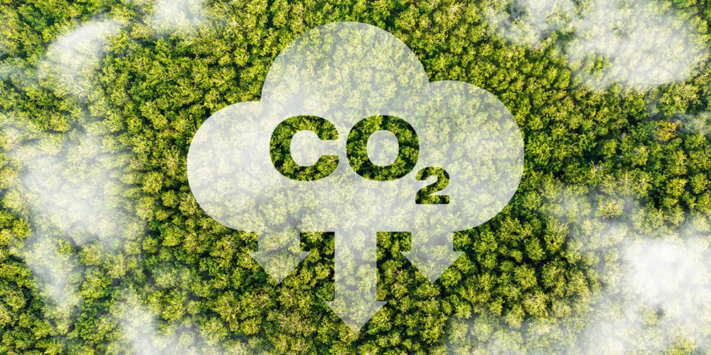 China aprova proteína convertida de CO2 como material de ração