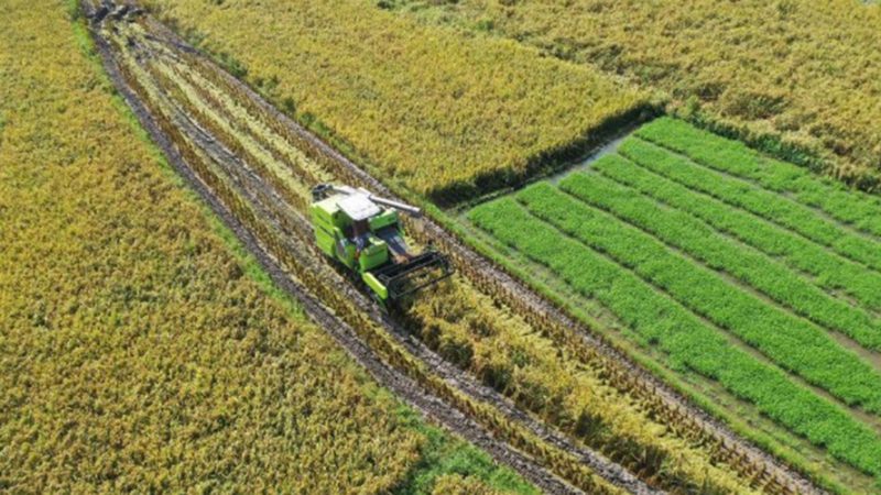China libera US$ 162 milhões para prevenção de desastres na produção agrícola
