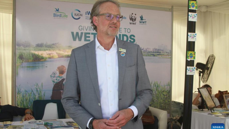 Entrevista: China lidera preservação de zonas úmidas, diz CEO da Wetlands International