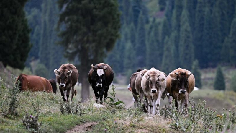 Viajantes britânicos descobrem as múltiplas faces da China