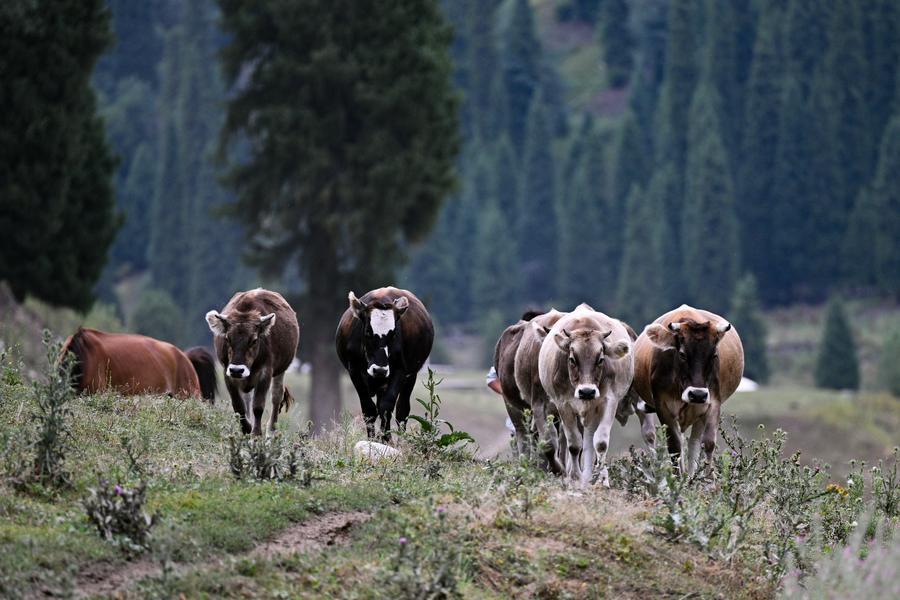 Viajantes britânicos descobrem as múltiplas faces da China