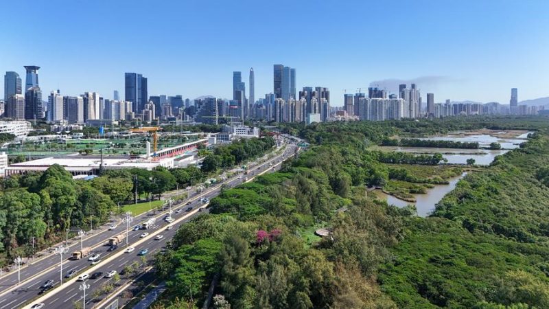 Shenzhen lidera cidades chinesas em comércio exterior entre janeiro e julho