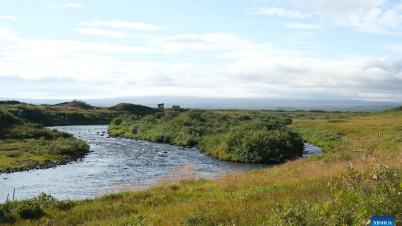 IA ajuda a proteger salmão do Atlântico, ameaçado de extinção, no Ártico da Noruega