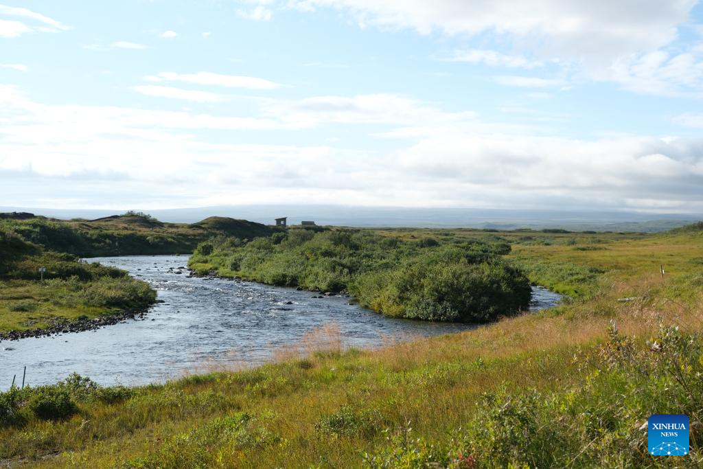 IA ajuda a proteger salmão do Atlântico, ameaçado de extinção, no Ártico da Noruega