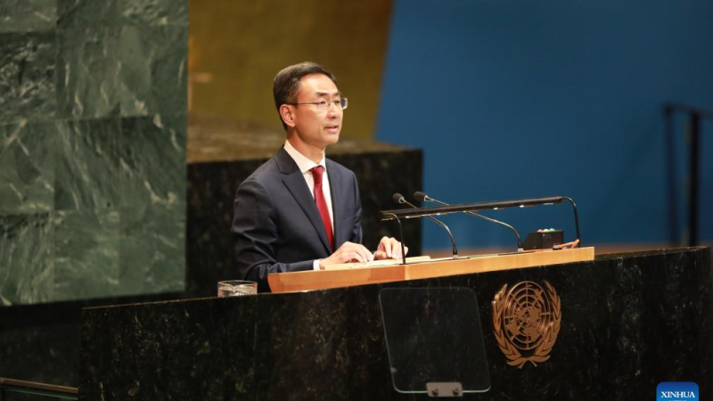 Assembleia Geral adota resolução sobre cooperação ONU-OCS com amplo apoio