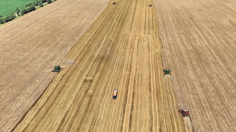 Produção de grãos da China bate novo recorde no período 2021-2025, diz ministro