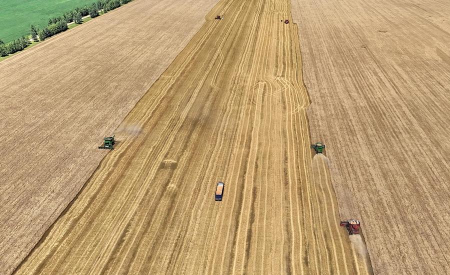 Produção de grãos da China bate novo recorde no período 2021-2025, diz ministro