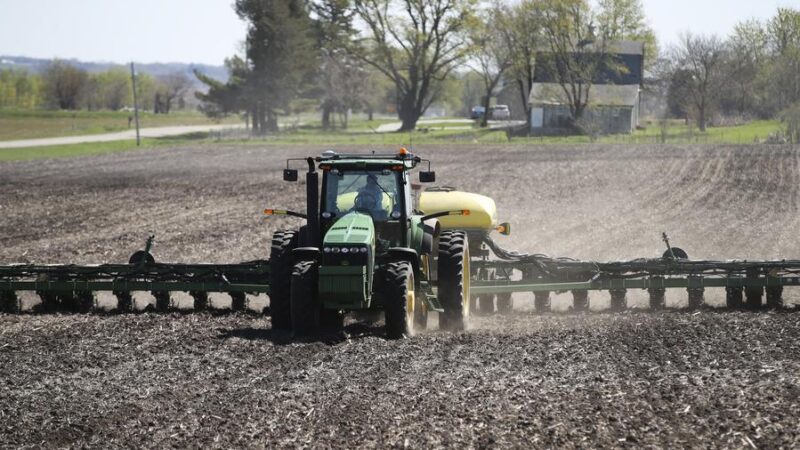 Produtores de soja dos EUA estão em situação desesperadora com a chegada da temporada de colheita