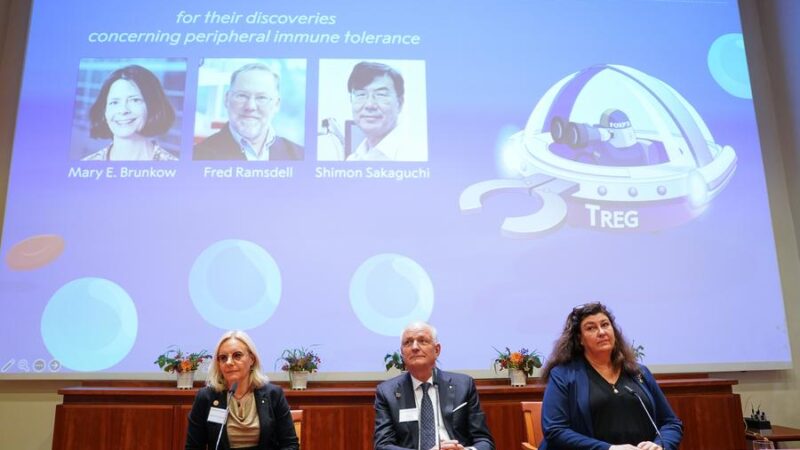 Por que o Nobel de Medicina 2025 premia os “seguranças” do sistema imunológico