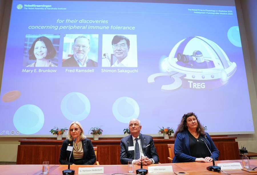 Por que o Nobel de Medicina 2025 premia os “seguranças” do sistema imunológico