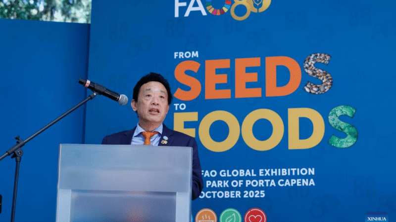 Das sementes aos alimentos: FAO comemora 80 anos de combate à fome