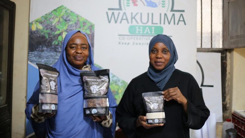 Inspiradas pela expertise chinesa, mulheres de Zanzibar impulsionam indústria de algas marinhas da Tanzânia