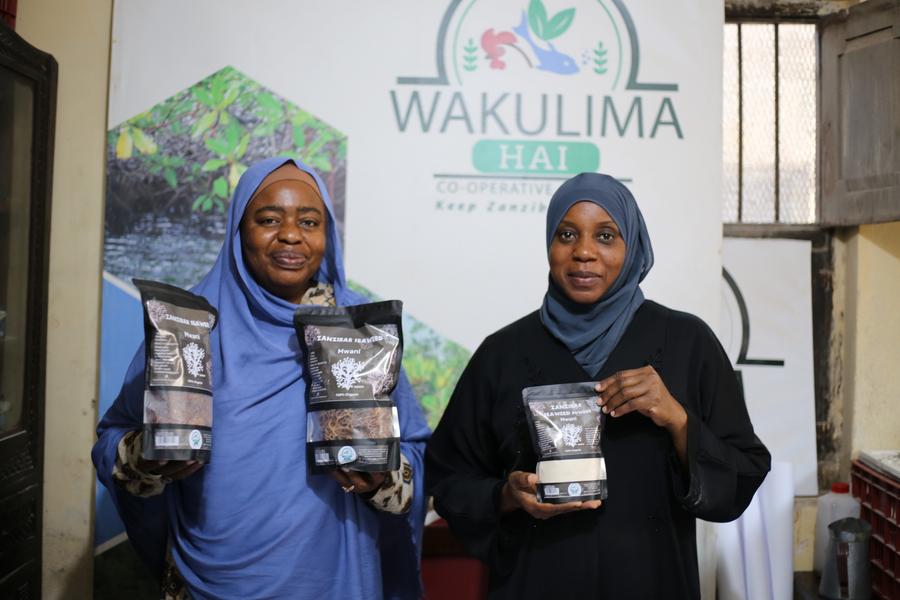 Inspiradas pela expertise chinesa, mulheres de Zanzibar impulsionam indústria de algas marinhas da Tanzânia