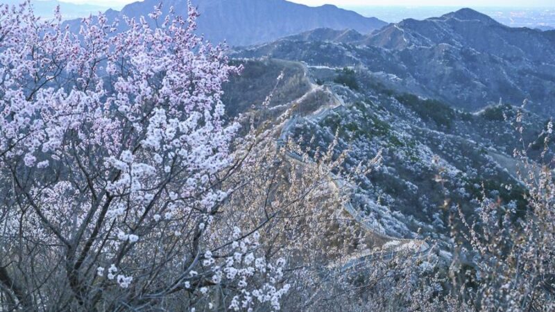 Concentração de PM2,5 de Beijing cai 15% nos três primeiros trimestres