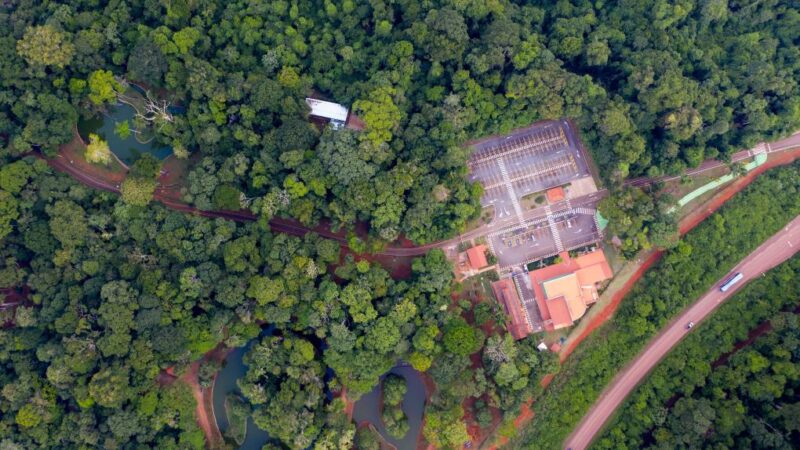 Mineradora brasileira levará produtos minerais e experiência imersiva da Amazônia à 8ª CIIE