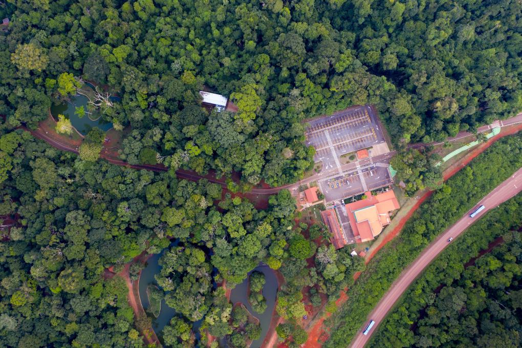 Mineradora brasileira levará produtos minerais e experiência imersiva da Amazônia à 8ª CIIE