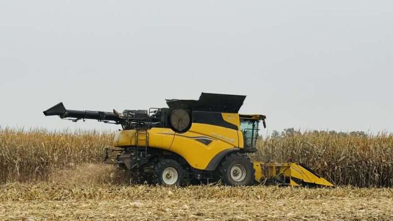 Gigantes globais do agronegócio estão otimistas com modernização agrícola da China