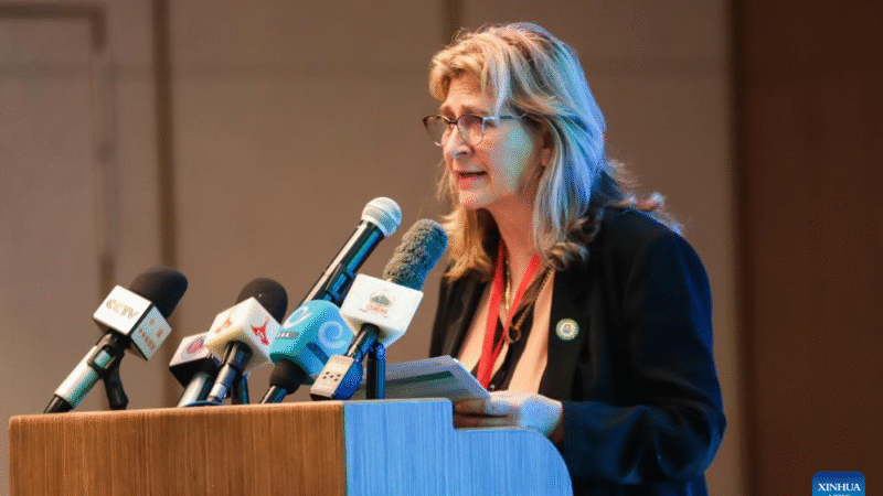 Especialistas chineses e africanos unem forças para impulsionar colaboração em segurança alimentar e modernização agrícola