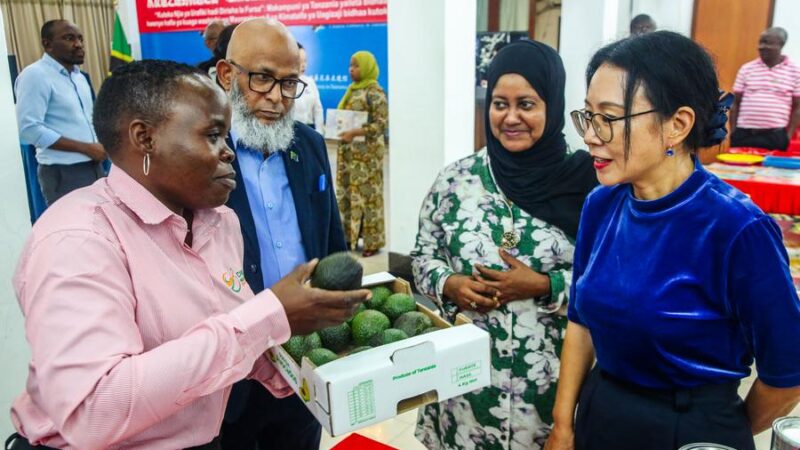 Tanzânia envia delegação comercial à China para a próxima CIIE