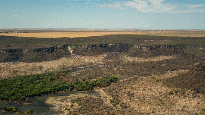 Brasil alcança redução de mais de 11% no desmatamento da Amazônia e do Cerrado até 2025