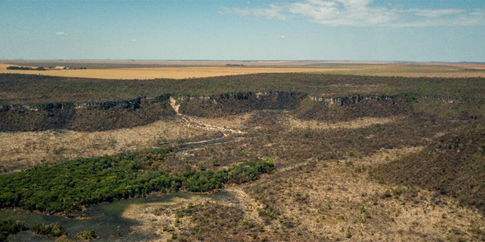 Brasil alcança redução de mais de 11% no desmatamento da Amazônia e do Cerrado até 2025
