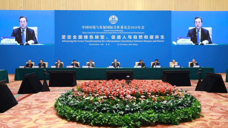 Vice-premiê chinês pede esforços conjuntos para promover transição verde global