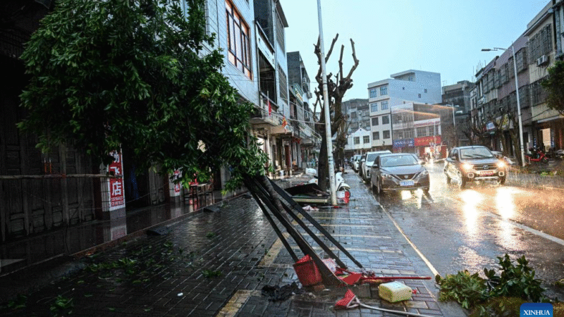 China ativa resposta de emergência enquanto tufão Matmo atinge regiões costeiras