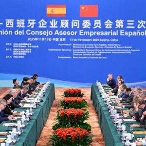 Vice-premiê chinês apela a reforço da cooperação econômica e comercial com Espanha