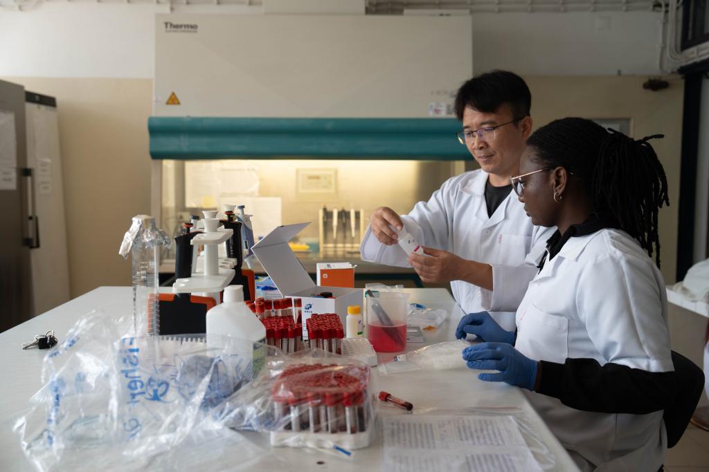 Apoio técnico da China fortalece prevenção de doenças na pecuária moçambicana