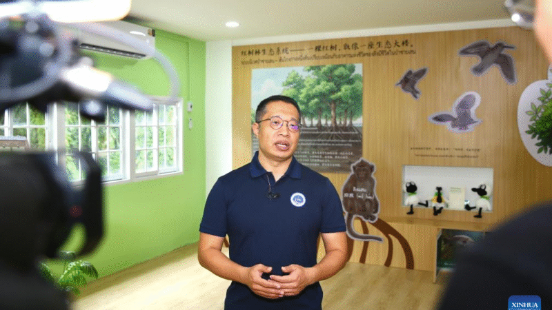 Destaque: Tesouros dos manguezais florescerão com o centro de natureza China-Tailândia
