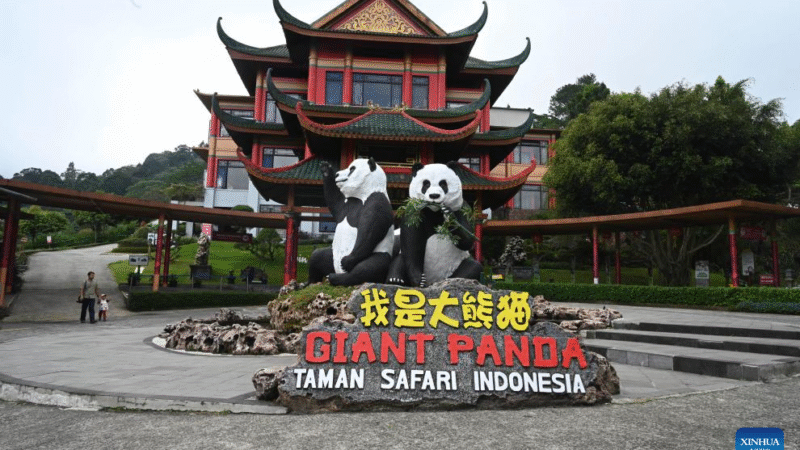 Visitantes do Palácio dos Pandas na Indonésia vivenciam encanto da cultura chinesa