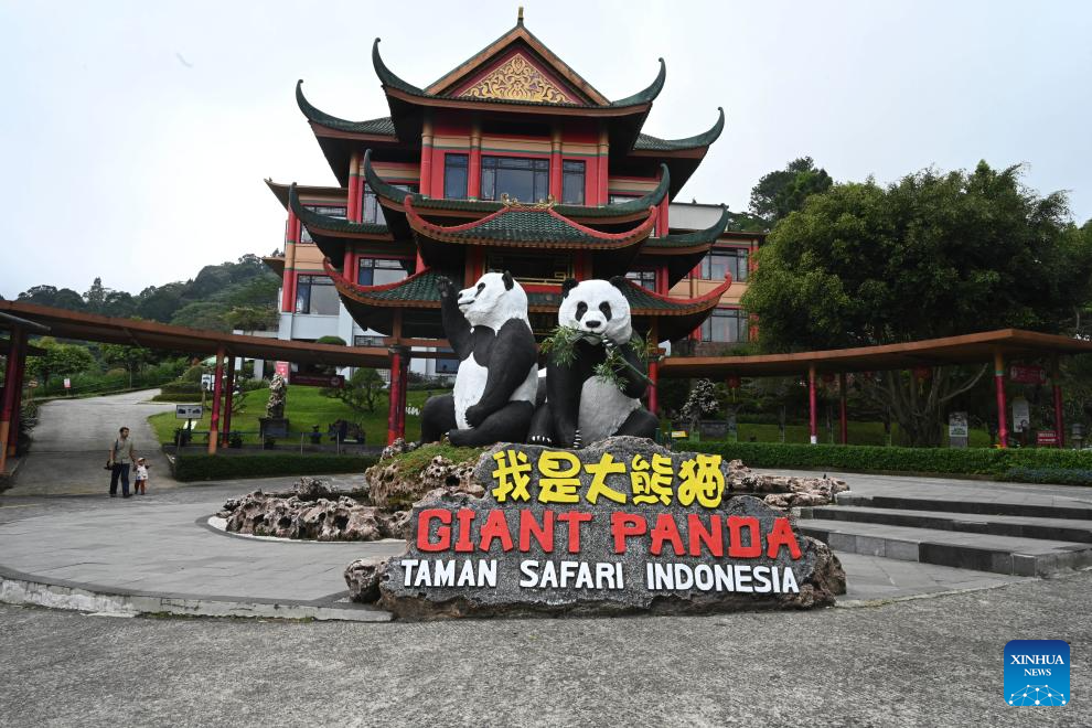 Visitantes do Palácio dos Pandas na Indonésia vivenciam encanto da cultura chinesa
