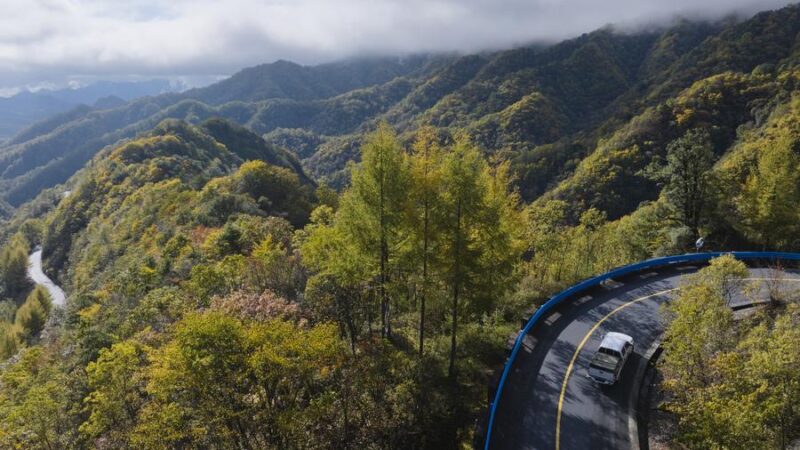 China divulga regulamento sobre gestão de incêndios em florestas e pastagens