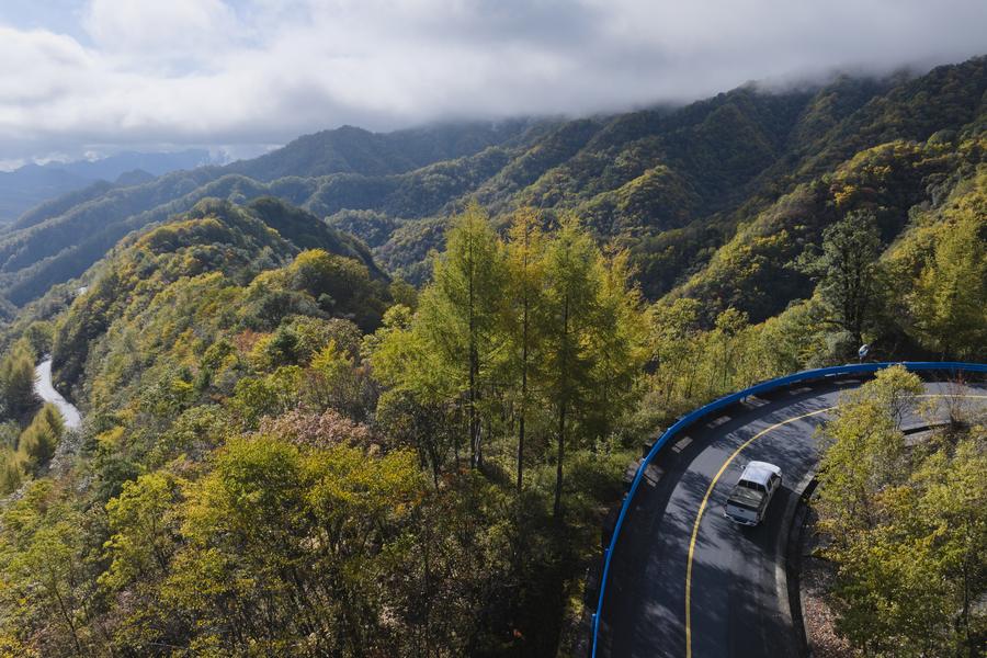 China divulga regulamento sobre gestão de incêndios em florestas e pastagens