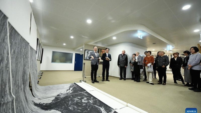 Exposição chinesa de arte em papel encanta público na Suíça